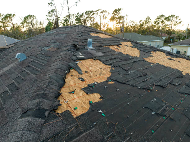 Dilley, TX Roofing Services Company